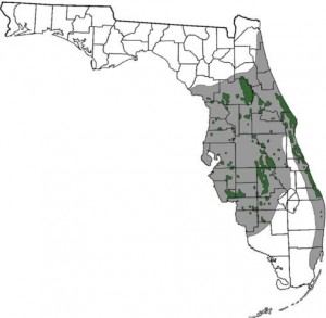 Map of Florida Scrub-Jay Range